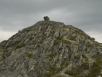 N, Innlandet, Sel, Anaripiggen 5, Saxifraga-Willem van Kruijsbergen