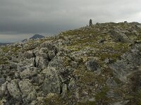 N, Innlandet, Sel, Karihaugen 4, Saxifraga-Willem van Kruijsbergen