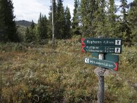 N, Innlandet, Sel, Mysuseter 25, Saxifraga-Willem van Kruijsbergen