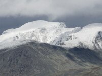 N, Innlandet, Sel, Mysuseter 65, Saxifraga-Willem van Kruijsbergen