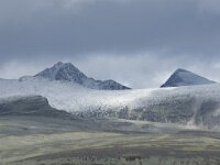 N, Innlandet, Sel, Mysuseter 66, Saxifraga-Willem van Kruijsbergen