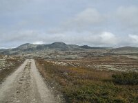 N, Innlandet, Sel, Peer Gynt Hytta 148, Saxifraga-Annemiek Bouwman