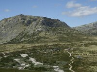 N, Innlandet, Sel, Peer Gynt Hytta 15, Saxifraga-Jan van der Straaten