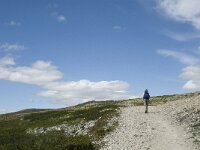 N, Innlandet, Sel, Peer Gynt Hytta 2, Saxifraga-Jan van der Straaten