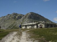 N, Innlandet, Sel, Peer Gynt Hytta 22, Saxifraga-Jan van der Straaten