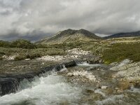 N, Innlandet, Sel, Peer Gynt Hytta 36, Saxifraga-Willem van Kruijsbergen