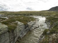 N, Innlandet, Sel, Peer Gynt Hytta 43, Saxifraga-Willem van Kruijsbergen