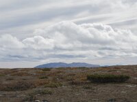 N, Innlandet, Sel, Peer Gynt Hytta 80, Saxifraga-Willem van Kruijsbergen