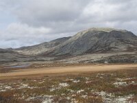 N, Innlandet, Sel, Peer Gynt Hytta 82, Saxifraga-Willem van Kruijsbergen