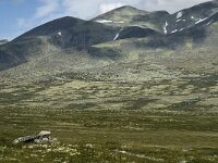 N, Innlandet, Sel, Peer Gynt Hytta 9, Saxifraga-Jan van der Straaten