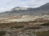 N, Innlandet, Sel, Peer Gynt Hytta 90, Saxifraga-Willem van Kruijsbergen