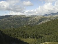 N, Innlandet, Sel, Rondane 2, Saxifraga-Willem van Kruijsbergen