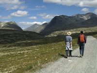 N, Innlandet, Sel, Rondvassbu 16, Saxifraga-Jan van der Straaten