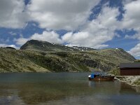 N, Innlandet, Sel, Rondvassbu 19, Saxifraga-Jan van der Straaten