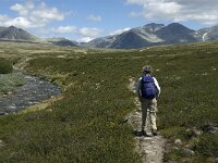 N, Innlandet, Sel, Rondvassbu 6, Saxifraga-Jan van der Straaten