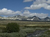 N, Innlandet, Sel, Rondvassbu 7, Saxifraga-Jan van der Straaten