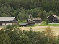 N, Innlandet, Sel, Sjoa 6, Saxifraga-Willem van Kruijsbergen