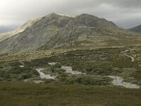 N, Innlandet, Sel, Solsidevassberget 7, Saxifraga-Willem van Kruijsbergen