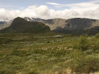 N, Innlandet, Vaga, Bygdin 1, Saxifraga-Jan van der Straaten