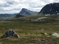 N, Innlandet, Vaga, Bygdin 6, Saxifraga-Jan van der Straaten