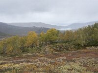 N, Innlandet, Vaga, Nedre Leirungen 4, Saxifraga-Willem van Kruijsbergen