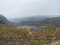 N, Innlandet, Vaga, Nedre Leirungen 7, Saxifraga-Annemiek Bouwman