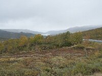 N, Innlandet, Vaga, Nedre Leirungen 8, Saxifraga-Annemiek Bouwman