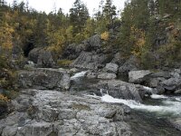 N, Innlandet, Vaga, Randsverk, Sjoa river 4, Saxifraga-Willem van Kruijsbergen