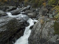 N, Innlandet, Vaga, Randsverk, Sjoa river 5, Saxifraga-Annemiek Bouwman