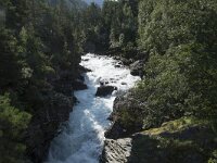 N, More og Romsdal, Rauma, Rauma river 4, Saxifraga-Willem van Kruijsbergen
