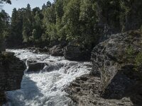 N, More og Romsdal, Rauma, Rauma river 7, Saxifraga-Willem van Kruijsbergen