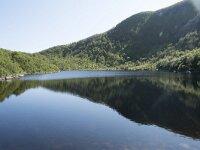 N, Nordland, Andoy, Bleikmorenen 2, Saxifraga-Willem van Kruijsbergen