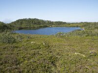 N, Nordland, Andoy, Bleikmorenen 24, Saxifraga-Willem van Kruijsbergen