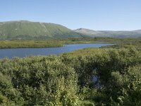 N, Nordland, Andoy, Bleikmorenen 31, Saxifraga-Willem van Kruijsbergen