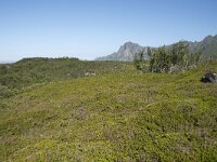 N, Nordland, Andoy, Bleikmorenen 9, Saxifraga-Willem van Kruijsbergen