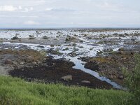 N, Nordland, Andoy, Breivik 2, Saxifraga-Willem van Kruijsbergen