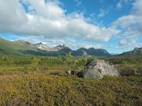 N, Nordland, Andoy, Forfjord 2, Saxifraga-Hans Dekker