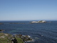 N, Nordland, Andoy, Kleivodden 1, Saxifraga-Willem van Kruijsbergen