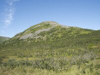 N, Nordland, Andoy, Nonstinden 2, Saxifraga-Willem van Kruijsbergen