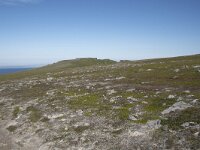 N, Nordland, Andoy, Nonstinden 23, Saxifraga-Willem van Kruijsbergen