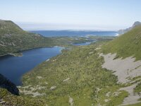 N, Nordland, Andoy, Nonstinden 32, Saxifraga-Willem van Kruijsbergen