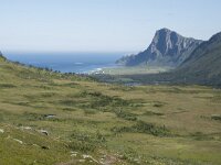 N, Nordland, Andoy, Nonstinden 5, Saxifraga-Willem van Kruijsbergen