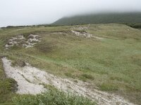 N, Nordland, Andoy, Sandhaugan 11, Saxifraga-Willem van Kruijsbergen