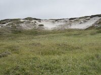 N, Nordland, Andoy, Sandhaugan 19, Saxifraga-Willem van Kruijsbergen