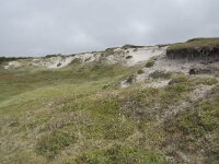 N, Nordland, Andoy, Sandhaugan 20, Saxifraga-Willem van Kruijsbergen