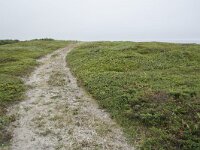 N, Nordland, Andoy, Sandhaugan 5, Saxifraga-Willem van Kruijsbergen