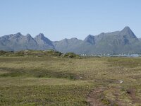 N, Nordland, Oksnes, Gisloya 13, Saxifraga-Willem van Kruijsbergen