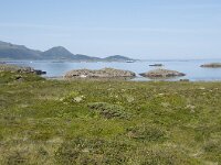 N, Nordland, Oksnes, Gisloya 22, Saxifraga-Willem van Kruijsbergen