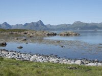 N, Nordland, Oksnes, Gisloya 23, Saxifraga-Willem van Kruijsbergen