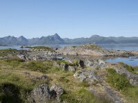 N, Nordland, Oksnes, Gisloya 30, Saxifraga-Willem van Kruijsbergen